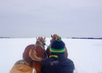 Making Maple Syrup in the 21st Century Image